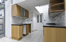 Needham Green kitchen extension leads